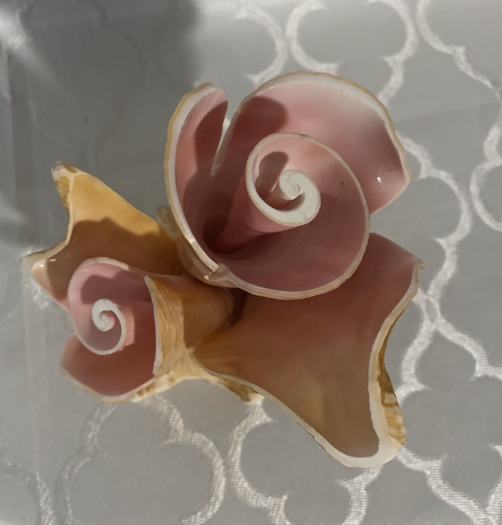 Shell Arrangement Centerpiece Coastal Decor Pink Brown Artificial Flowers