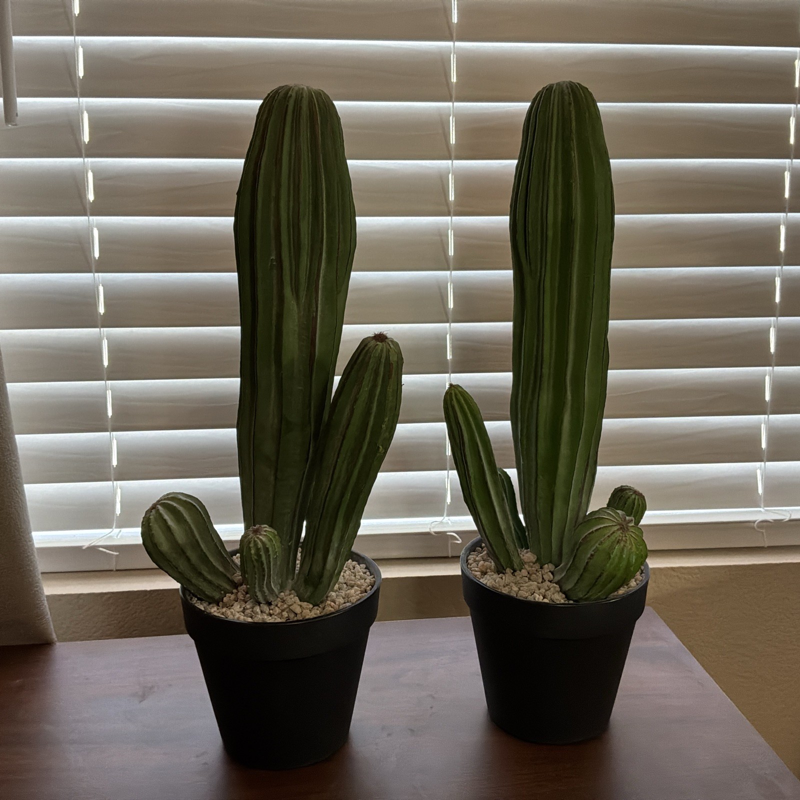 Artificial Cactus Fake Cacti 16″ Faux Potted Cactus Plants for Decor