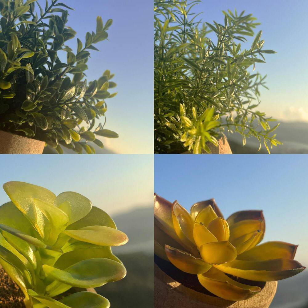 Small Fake Plants in Pulp Pot Ornaments, 4 Pack