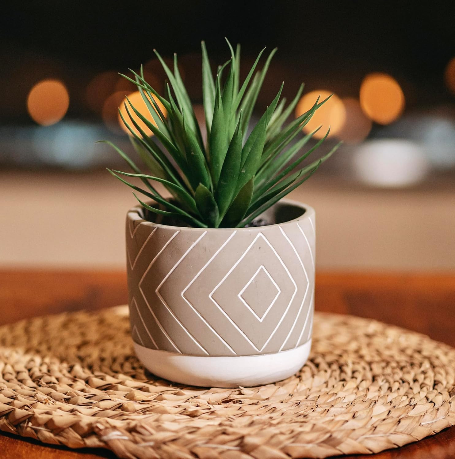 Desk Plant | 8″ Small Artificial Plants in Pots | Handmade Cement Pot with Small