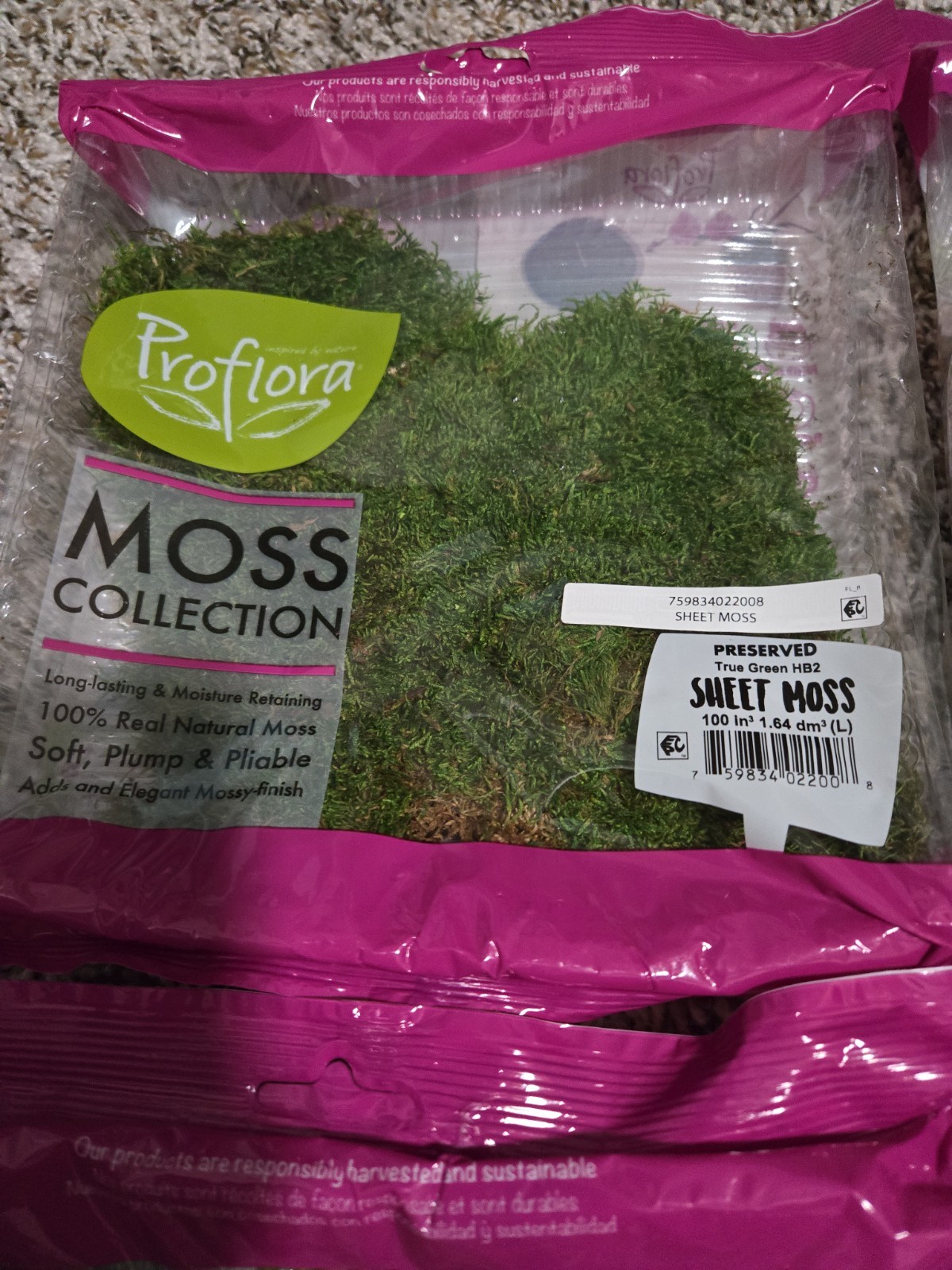 Proflora Preserved Sweet Moss Bundle Lot Of 4
