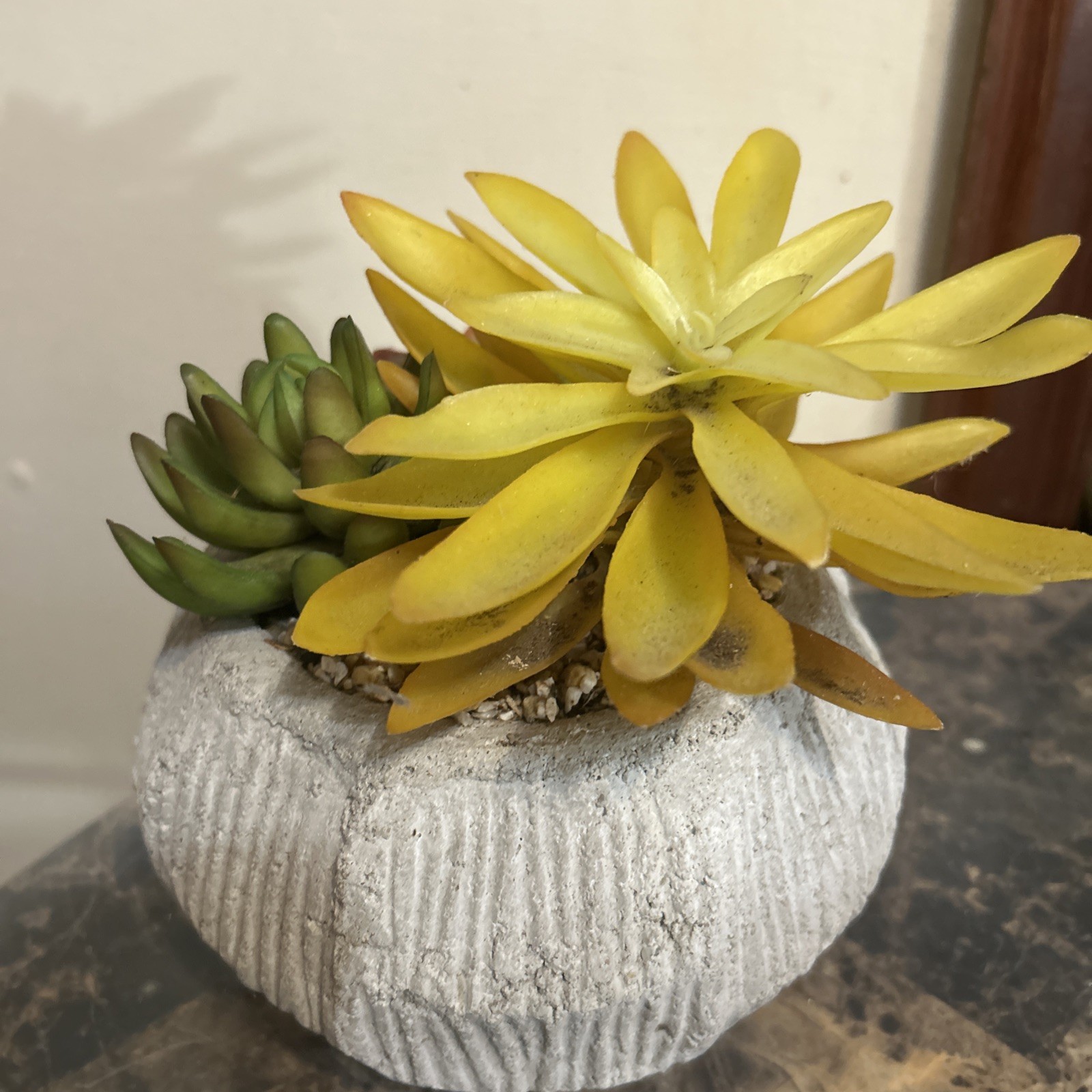 3 Pcs Faux Succulent Artificial Plant Plastic in Heavy Pot 8″H x 7″W 5A