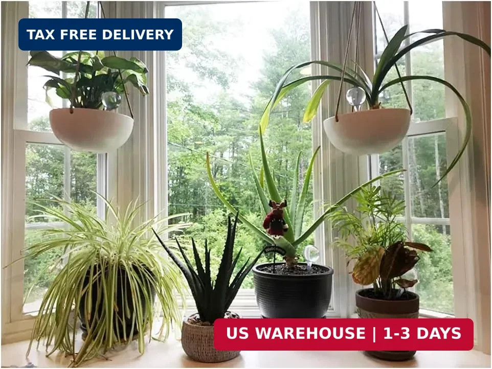 Irrmshr 10 Pack Clear Plant Watering Globes,Plastic Self Watering Bulbs for Indo