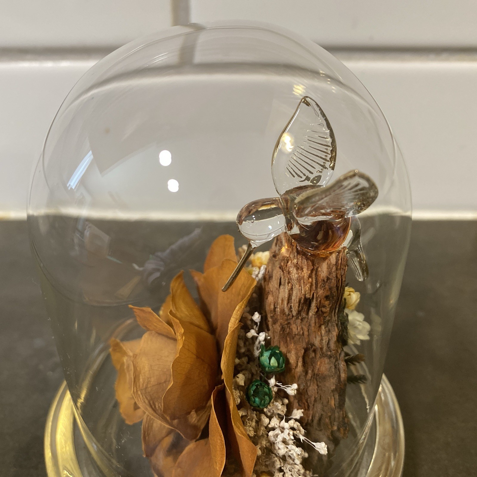 Colorado Naturals Dried Rose Floral Glass Dome Display with Glass Humming Bird