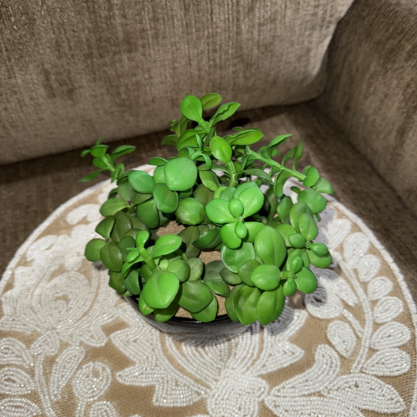 3x6black Pot With Faux Plant