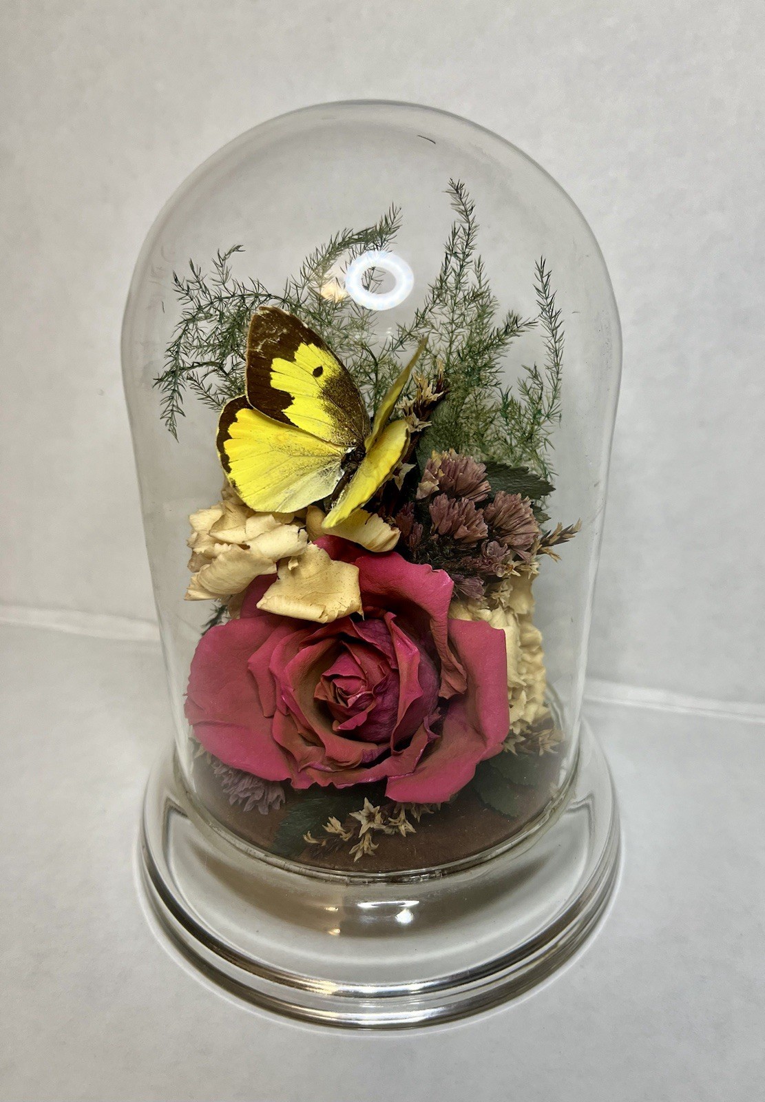 Vintage 90s Natural Expressions Dried Roses Butterfly Glass Terrarium Grannycore