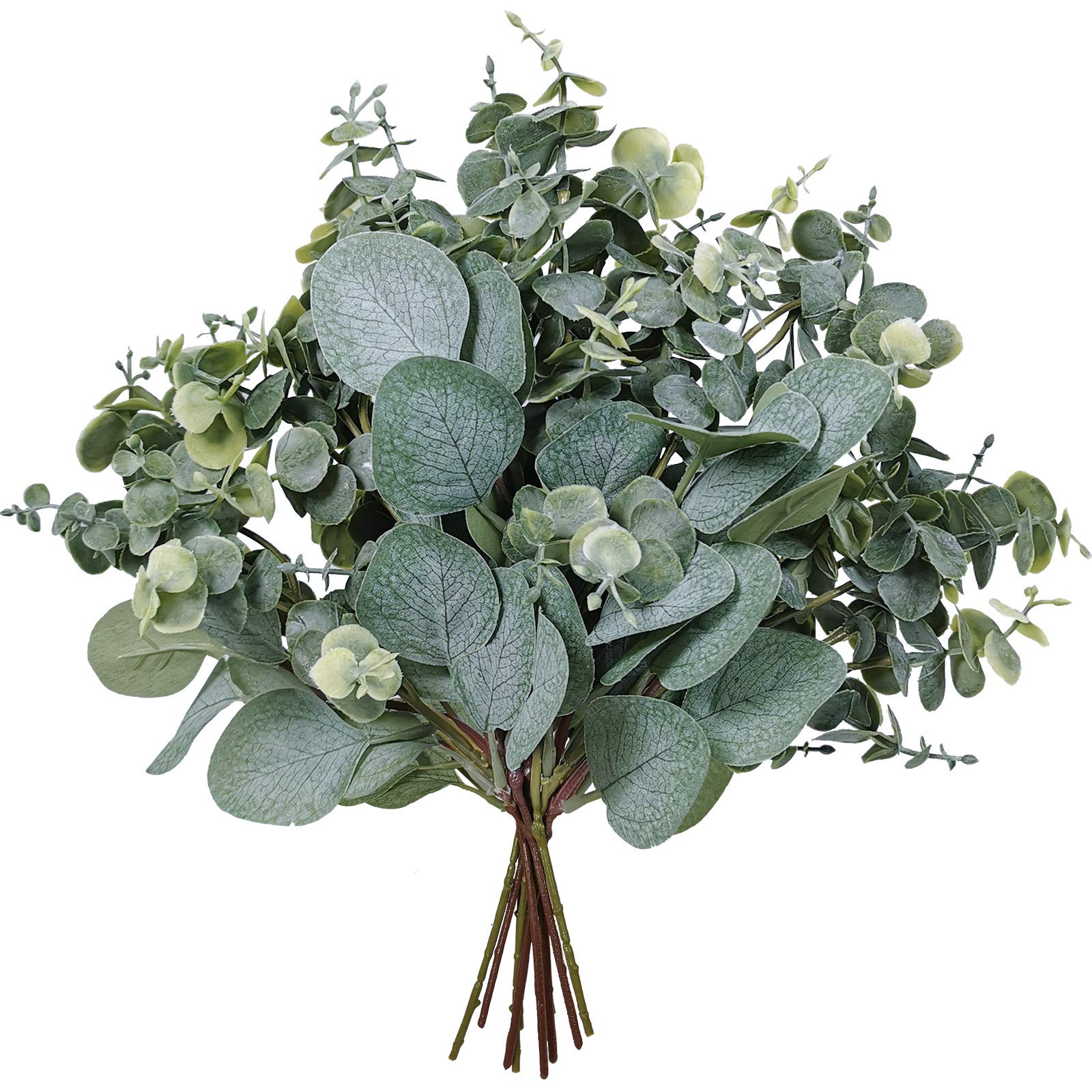 10 Pcs Mixed Eucalyptus Leaves Stems Bulk Artificial Silver Dollar Picks Faux Br