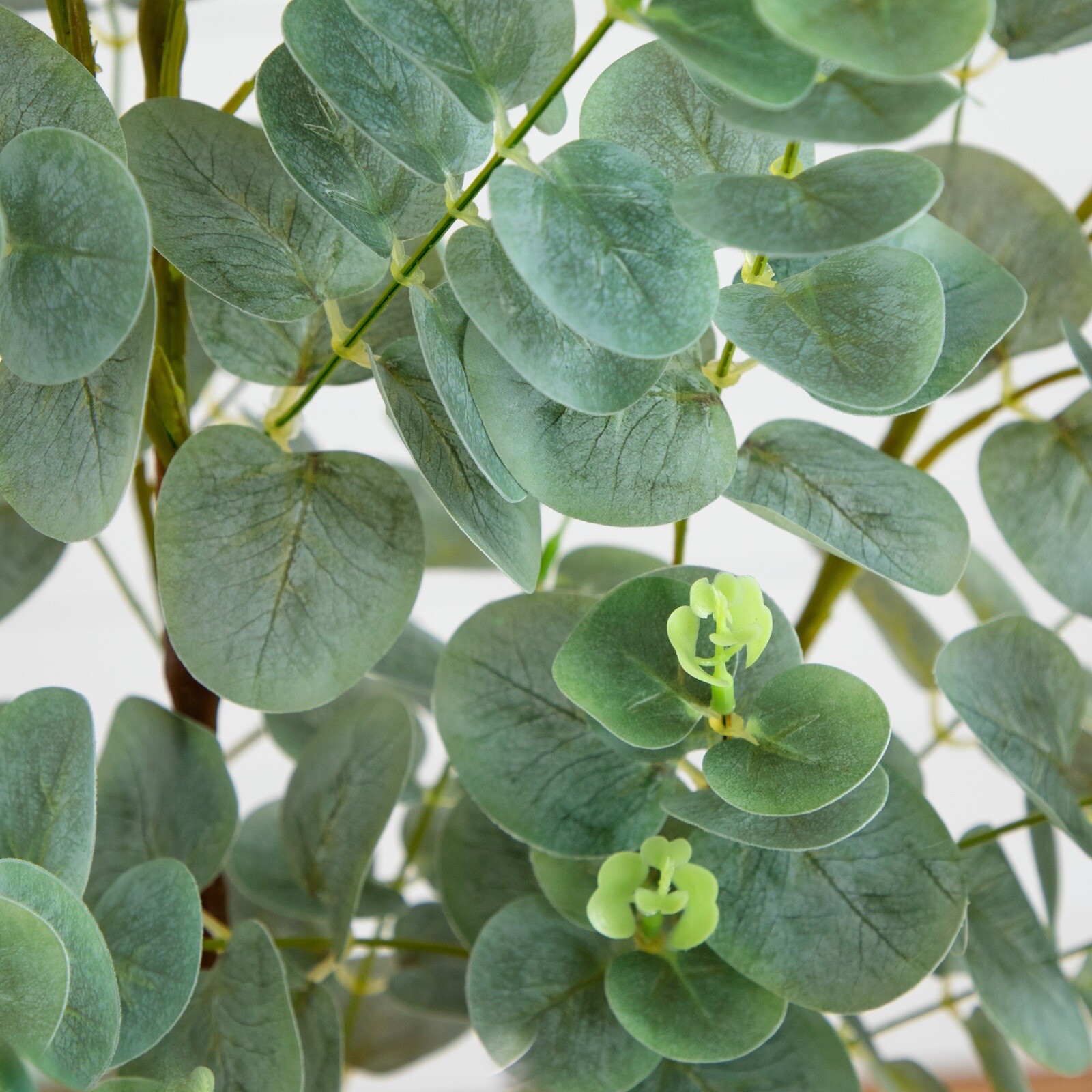 4.5Ft Eucalyptus Artificial Tree (Real Touch) Home Decor. Retail $150