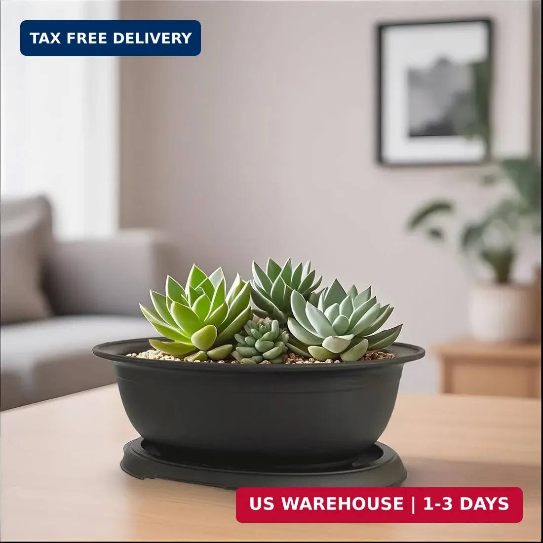 MUZHI 3 Pack Mixed Size Oval Bonsai Planter Pot with Drainage Tray, Matte Finish