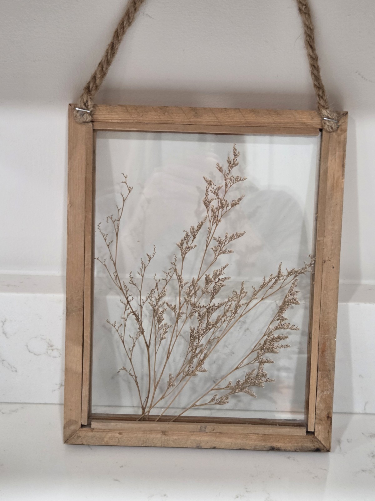 Rustic Wood Framed Glass Dried Flower Plant Wall Hanging 8×10″