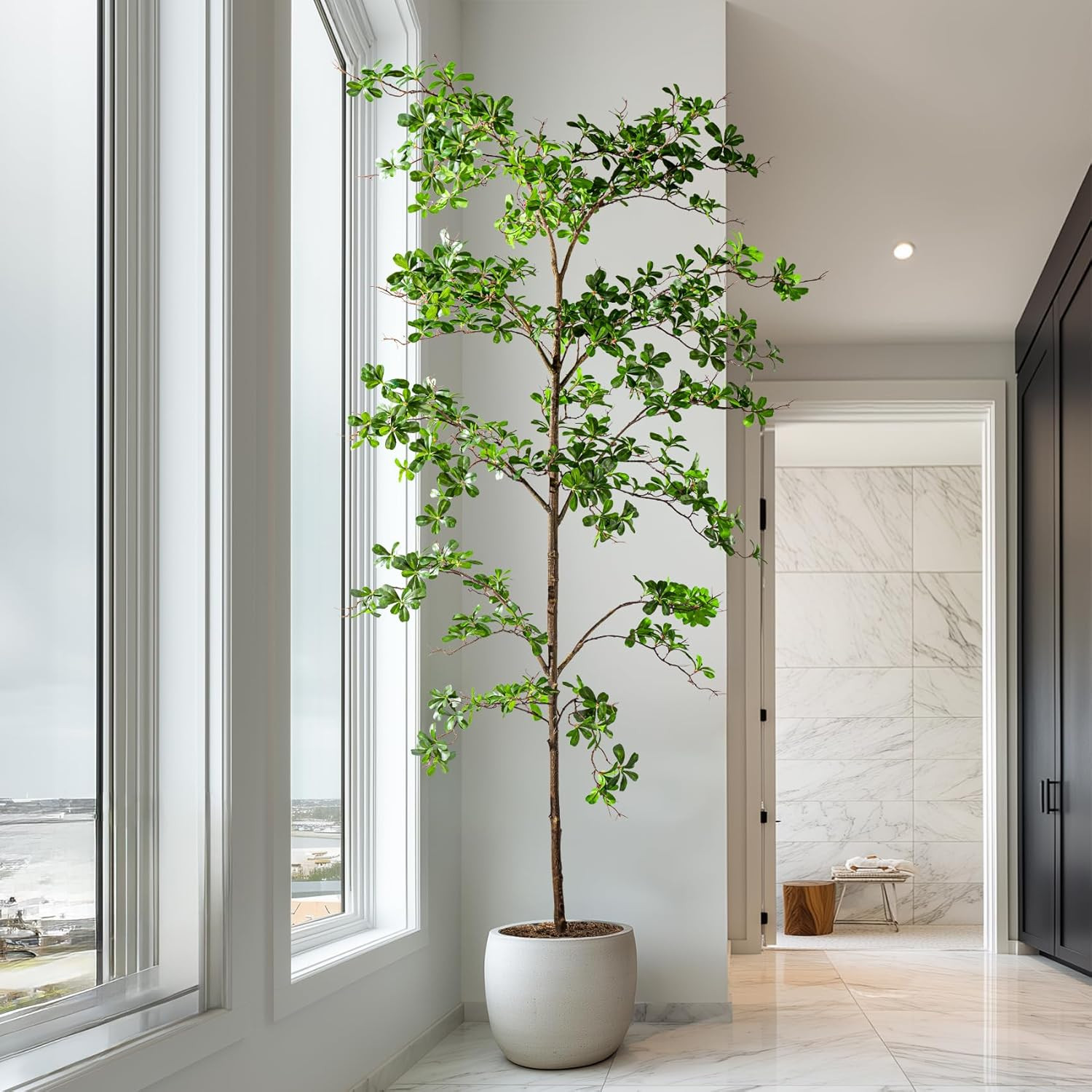 8Ft Faux Black Olive Tree – Realistic Indoor Decor with Natural Wood Trunk