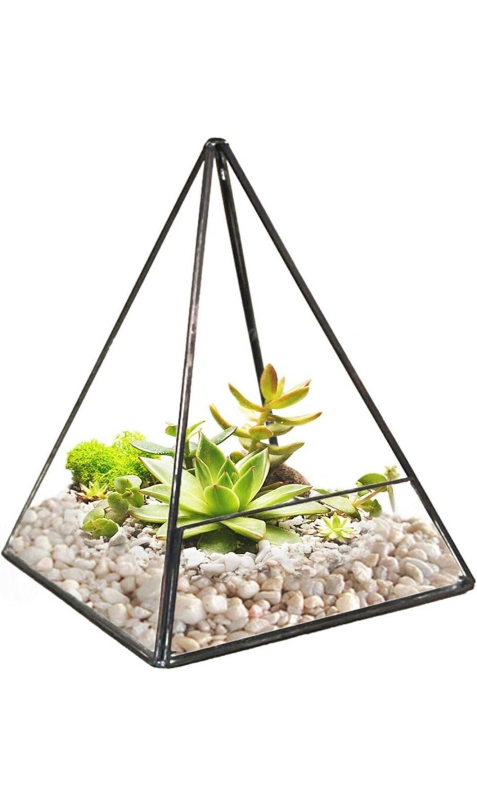 black geometric terrarium triangle 