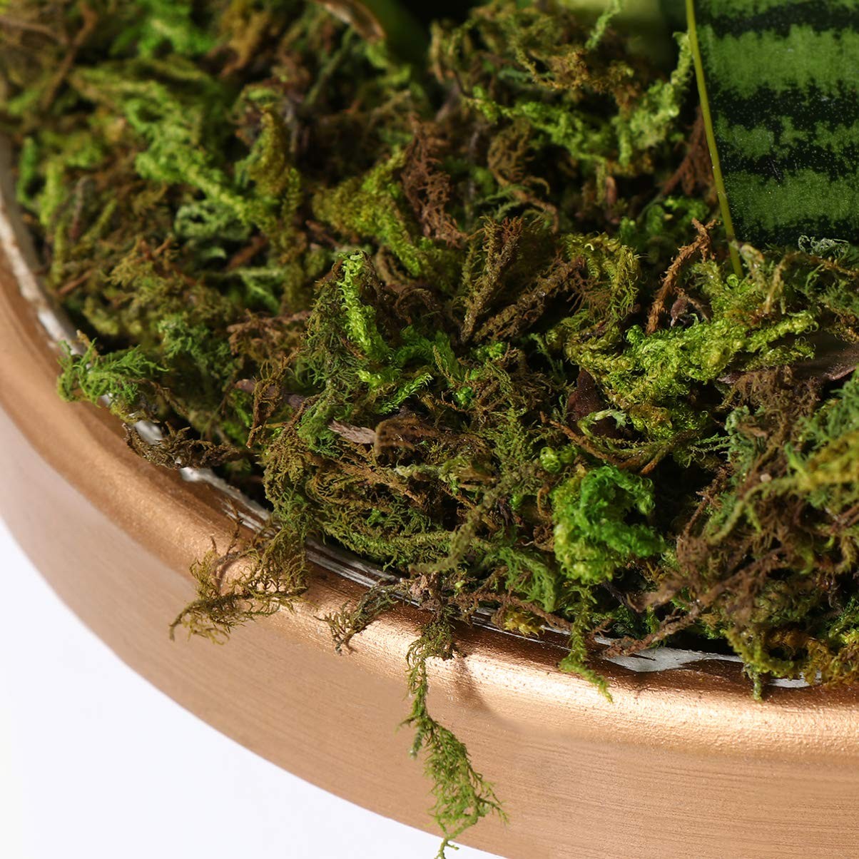 1 Pack Artificial Moss Fake Lichen Simulation Green Faux Pot Moss for DIY Min