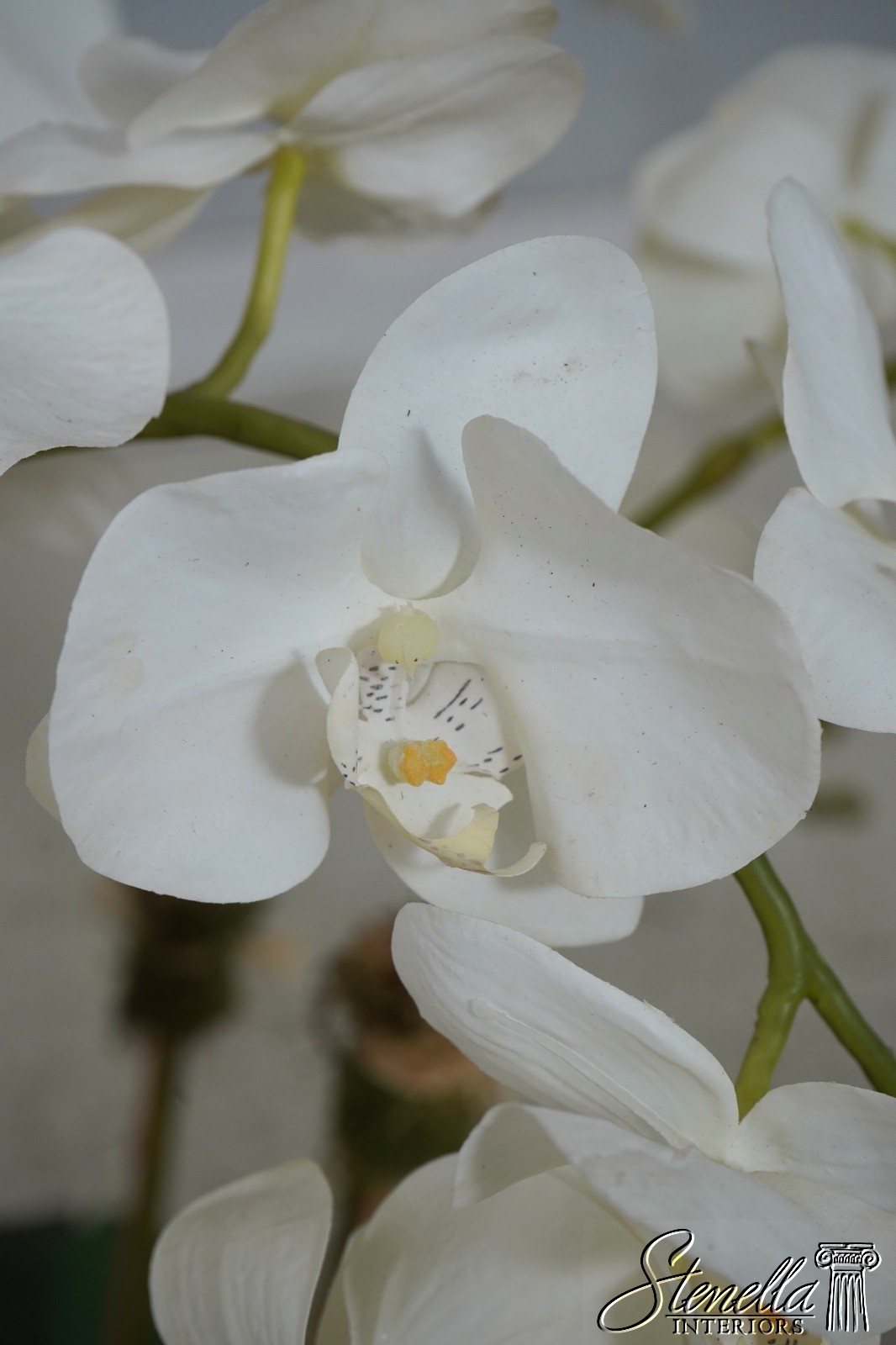 LF67429: Large Silk Flower Mother Orchid In Woven Basket