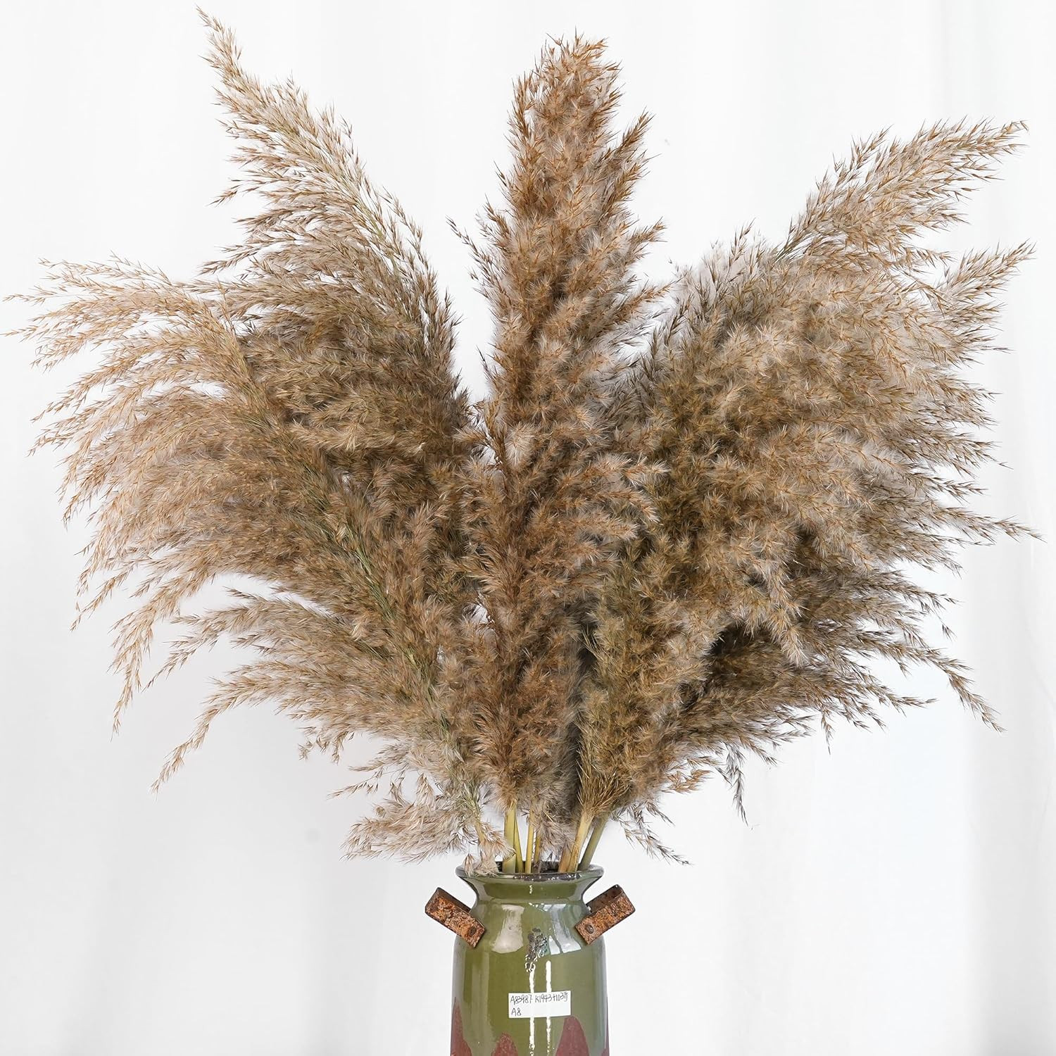 60 PCS Boho Decor, Fluffy Pompas Grass, Natural Dry Pampas Grass Small, Short Pa
