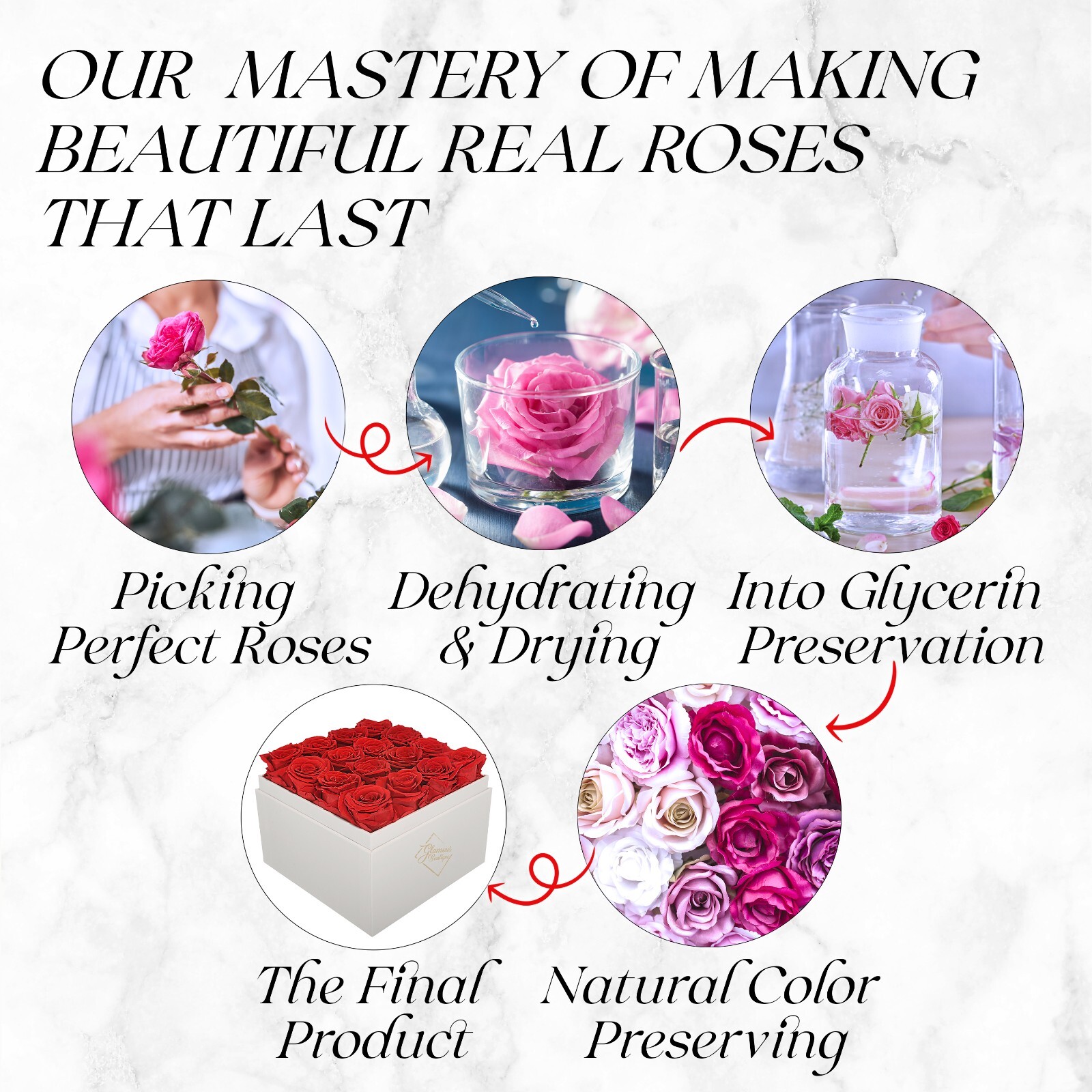 Glamour Boutique 16-Piece Forever Rose Acrylic White Gift Box – Preserved Roses