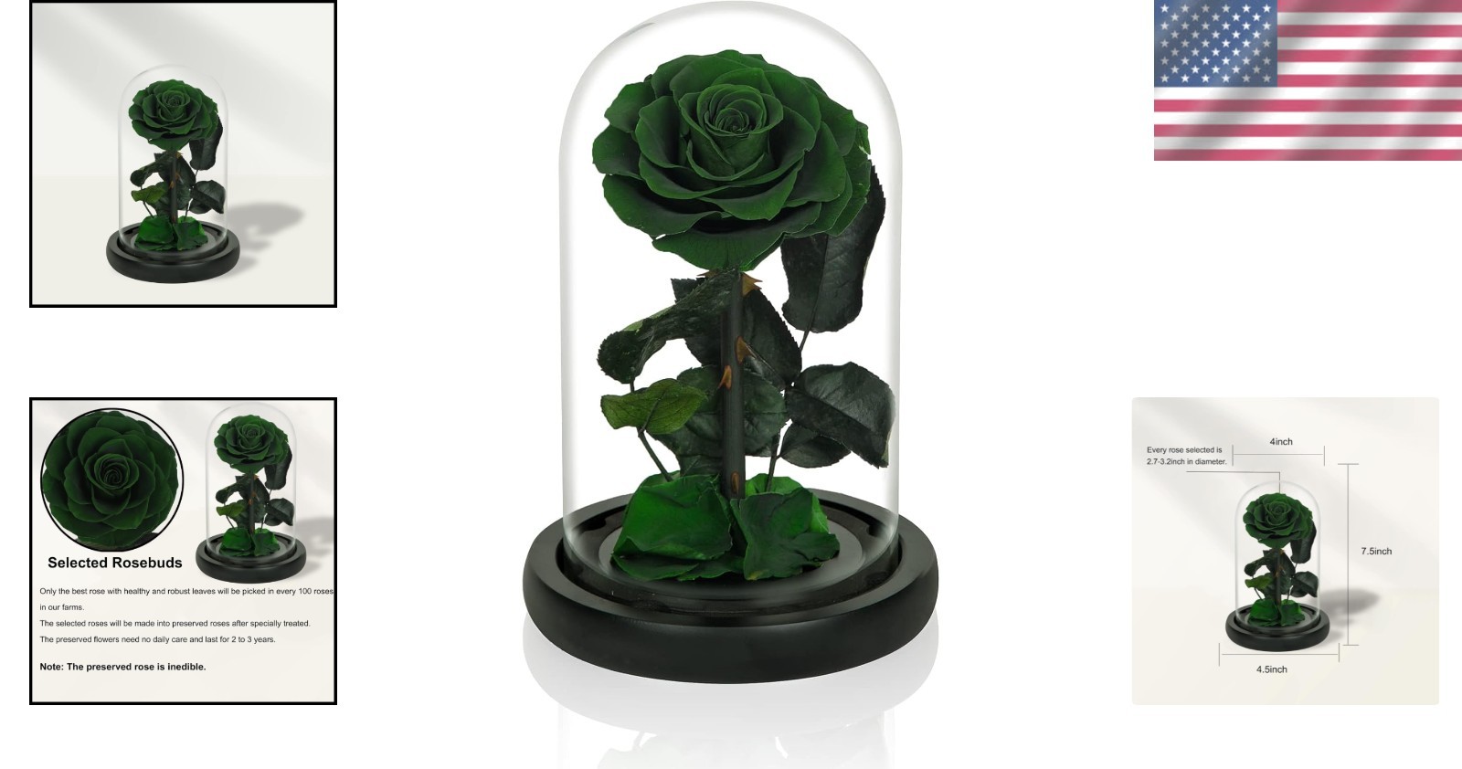 Elegant Handmade Preserved Roses in Glass Dome – Lasting Green Floral Gift