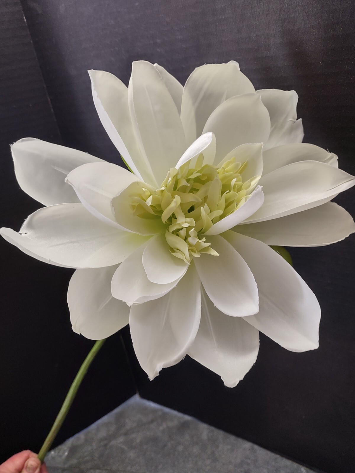 Artificial White Natural Feel large lotus blossom stems