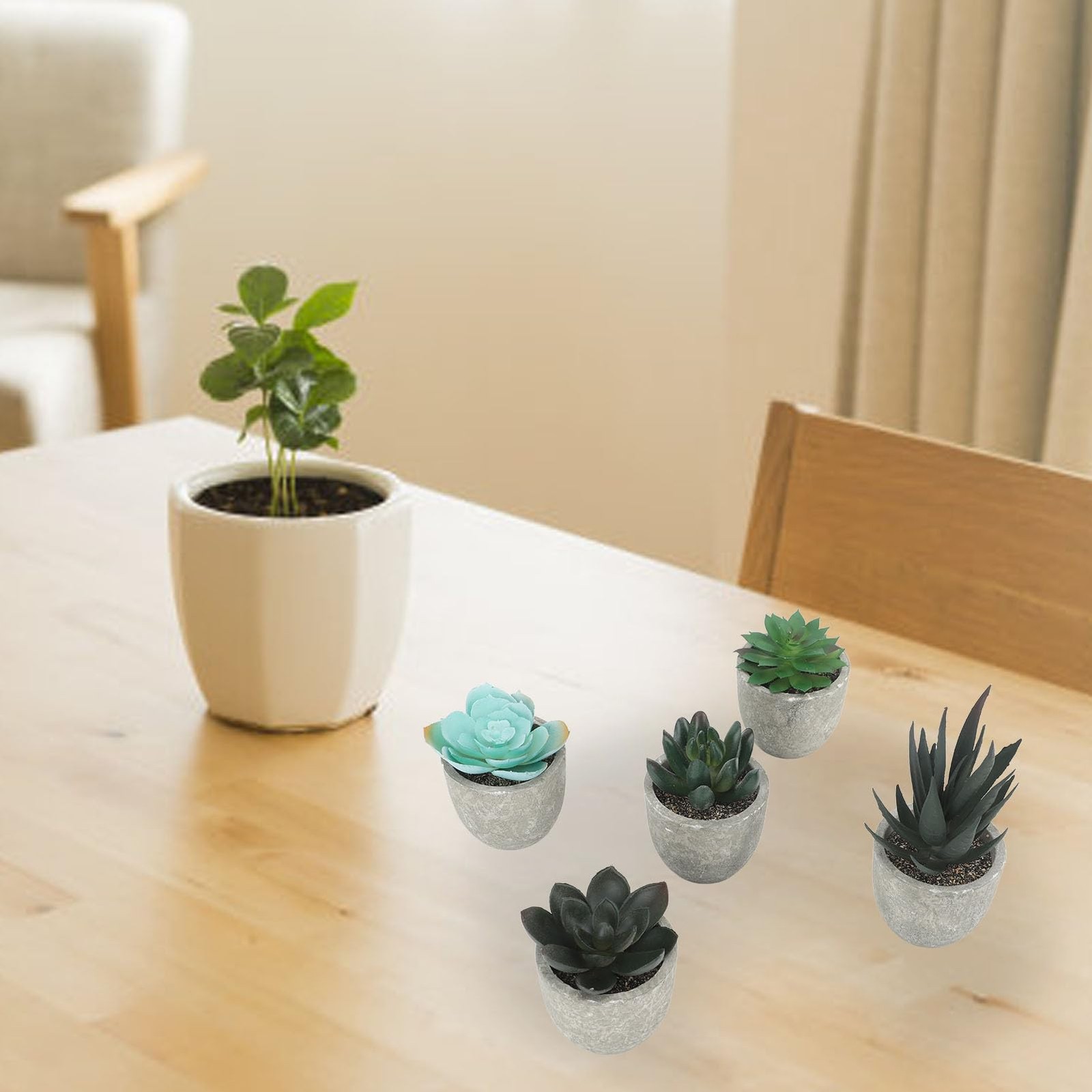 5 PCS Succulents Plants Artificial Mini Fake Pots Assorted Small Faux Decor