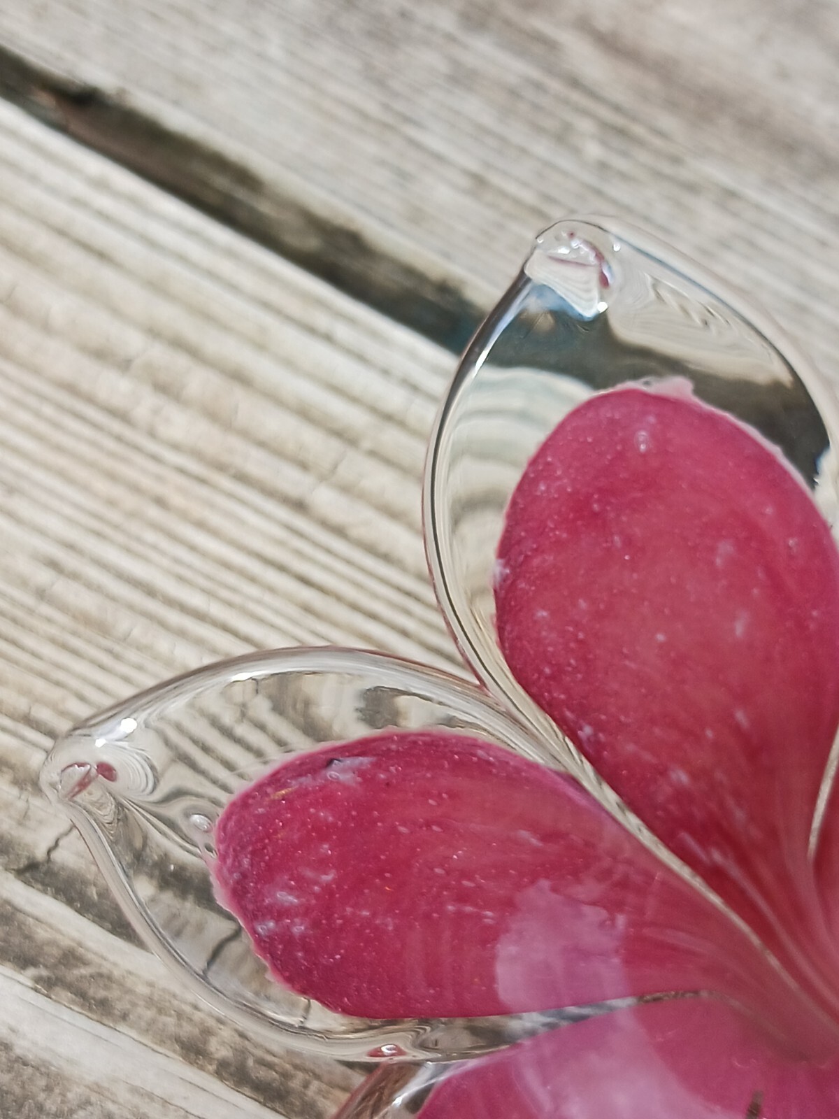 Large 17″ Blown Glass Pink Flower One Petal Chipped