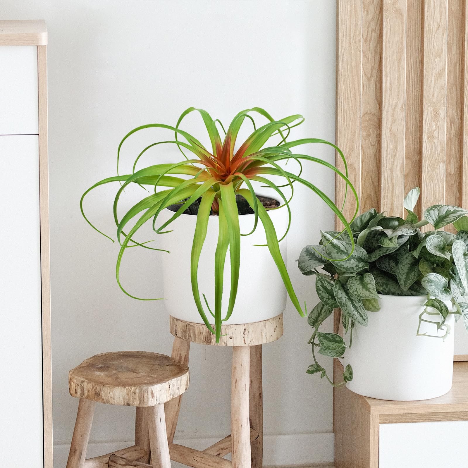 Succulents Plants Artificial, Large Fake Succulents Unpotted Flowers Pineappl…
