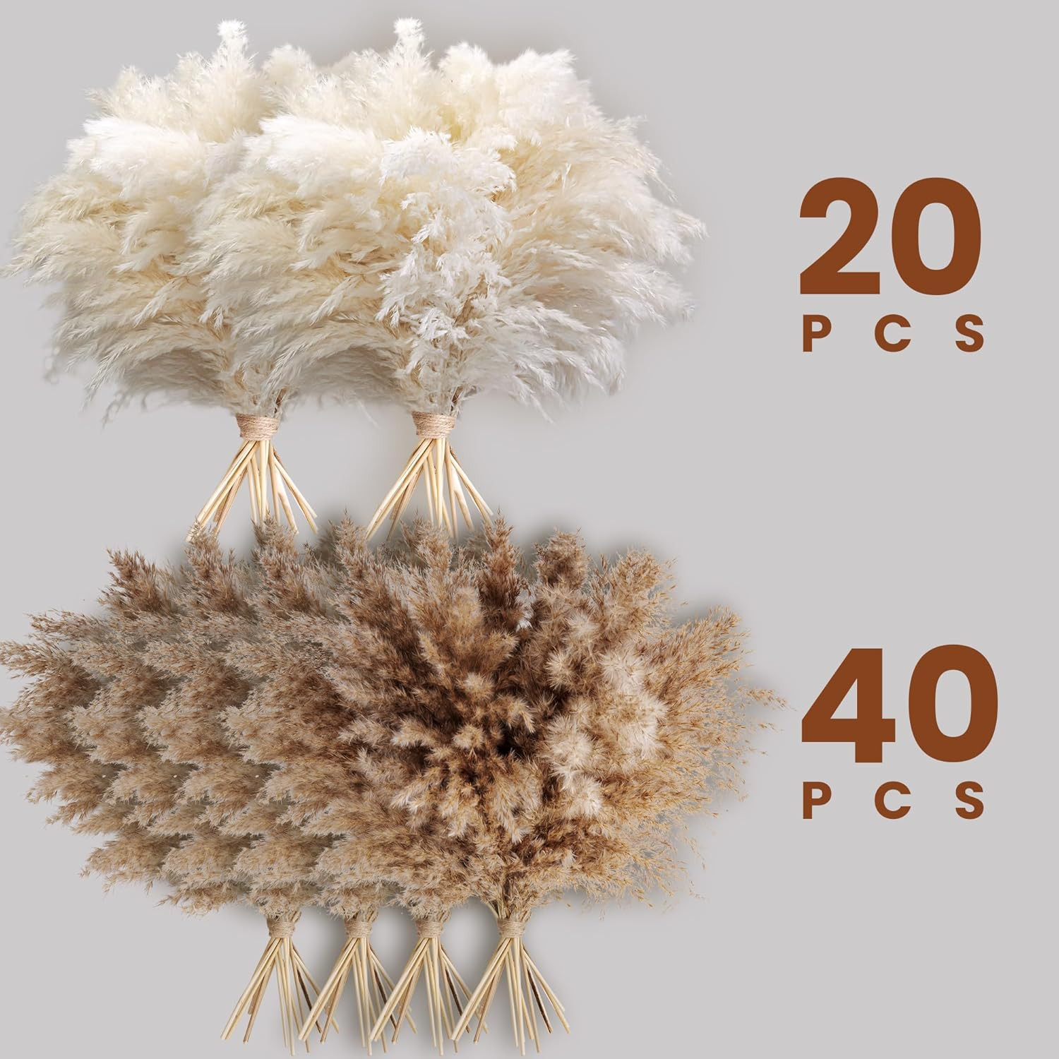 60 PCS Boho Decor, Fluffy Pompas Grass, Natural Dry Pampas Grass Small, Short Pa