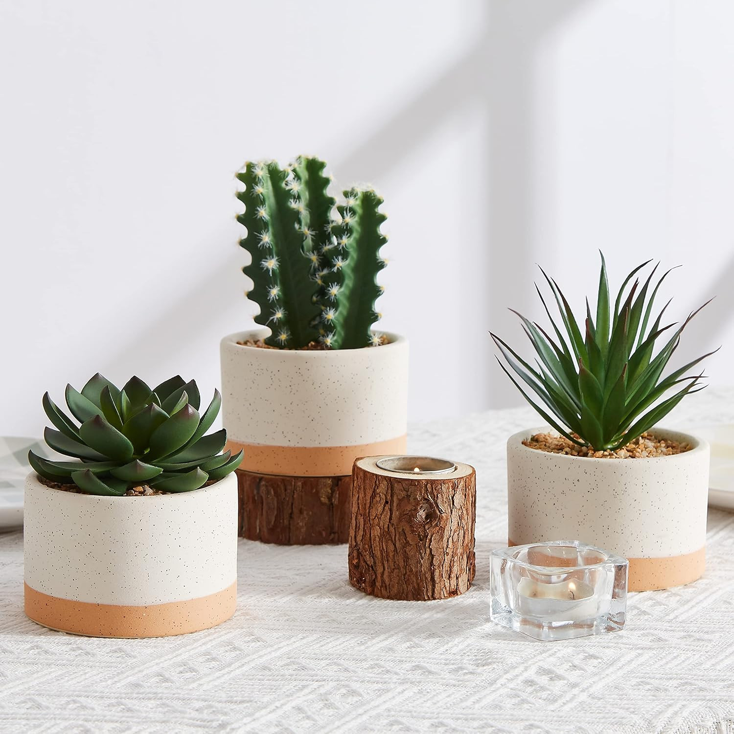 Set of 3 Faux Succulent Plants in Ceramic Pots for Home & Office Decor
