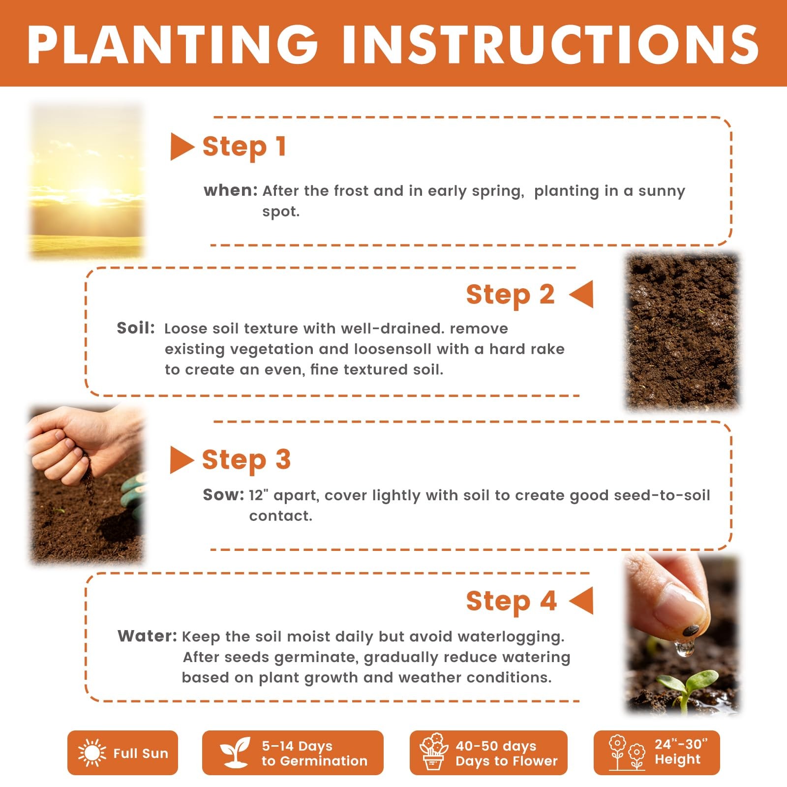 Seeds for 2026 Planting, 5000+ Flowers Seeds, 7 Multi Color