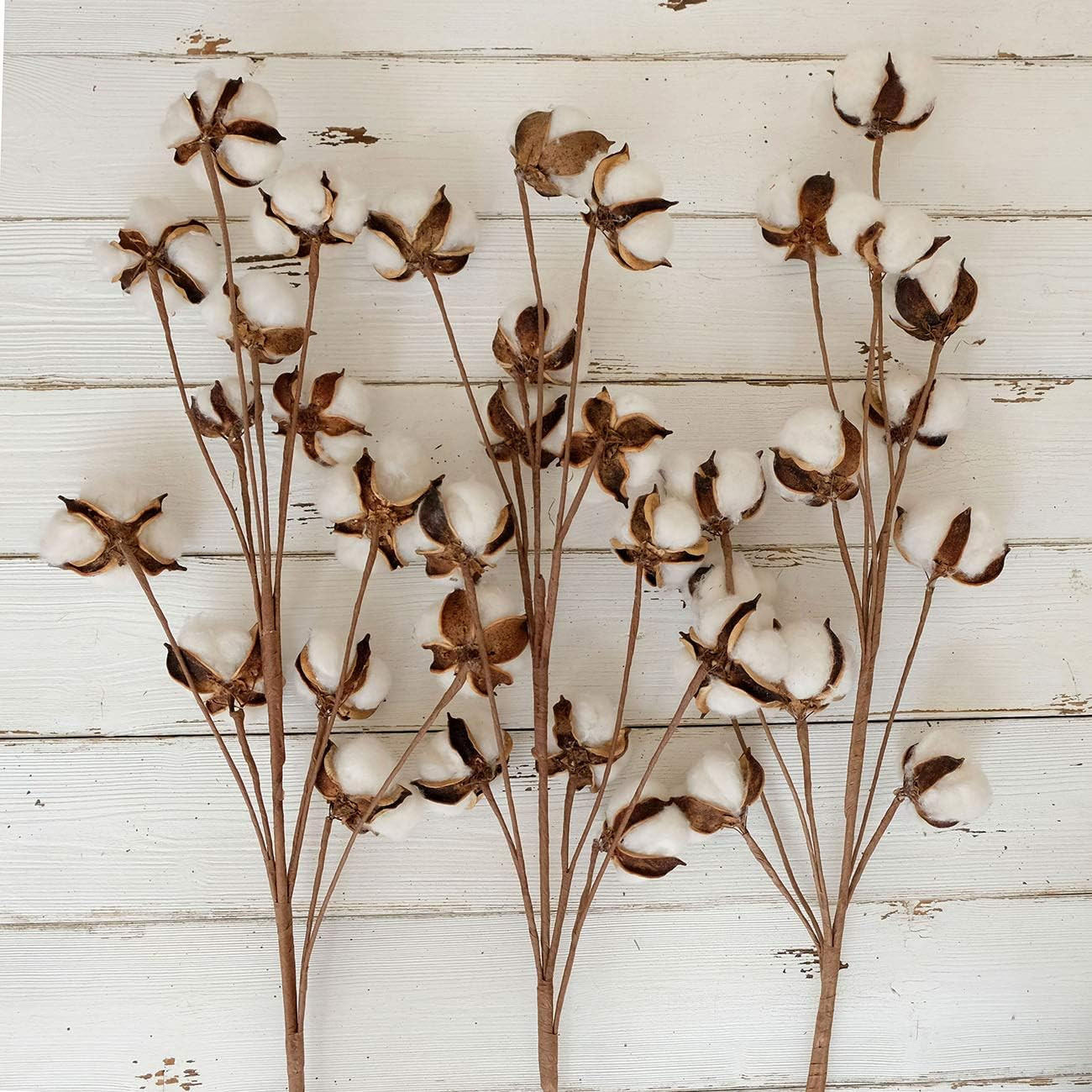 Elegant Cotton Stem Decor – 6 Pcs, 31″ Tall Dried Flower Branches