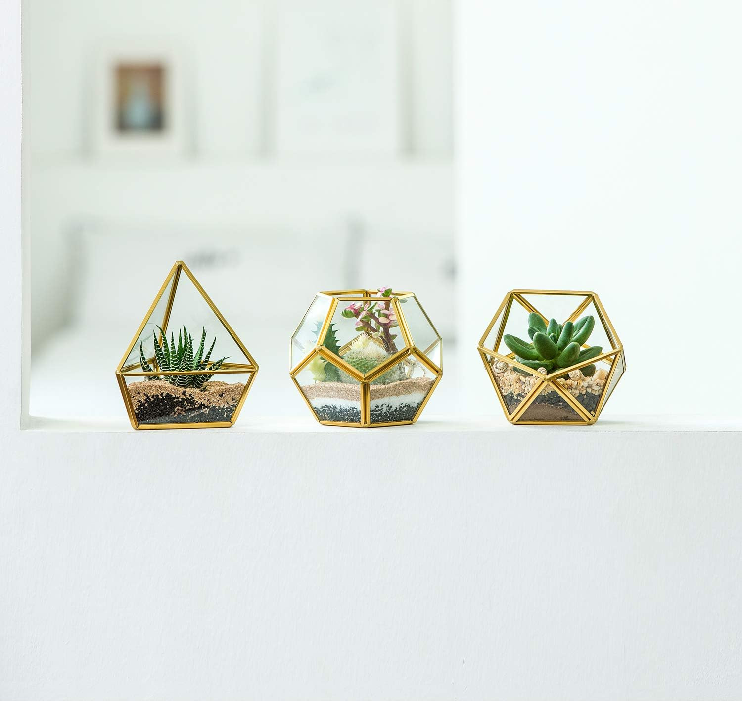 3 Pack Fake Succulents in Geometric Glass Terrarium Gold Office Decor | Lifelike