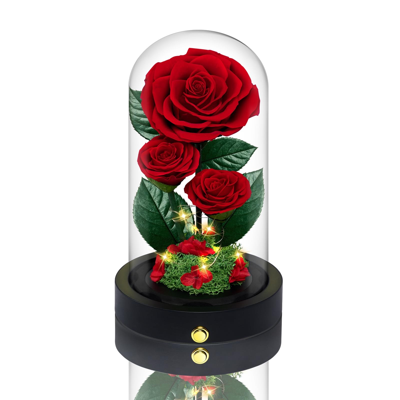3 Preserved Flowers Roses in Glass Dome for Beauty and The Beast Decor Real R…