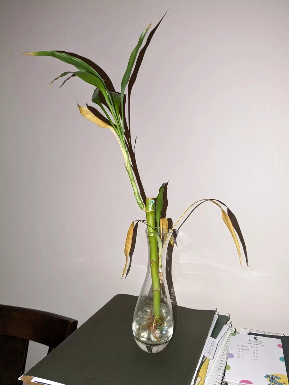 Vintage Artificial Bamboo Stem with Leaves in 7.5″h x 3″w Glass Vase with Beads