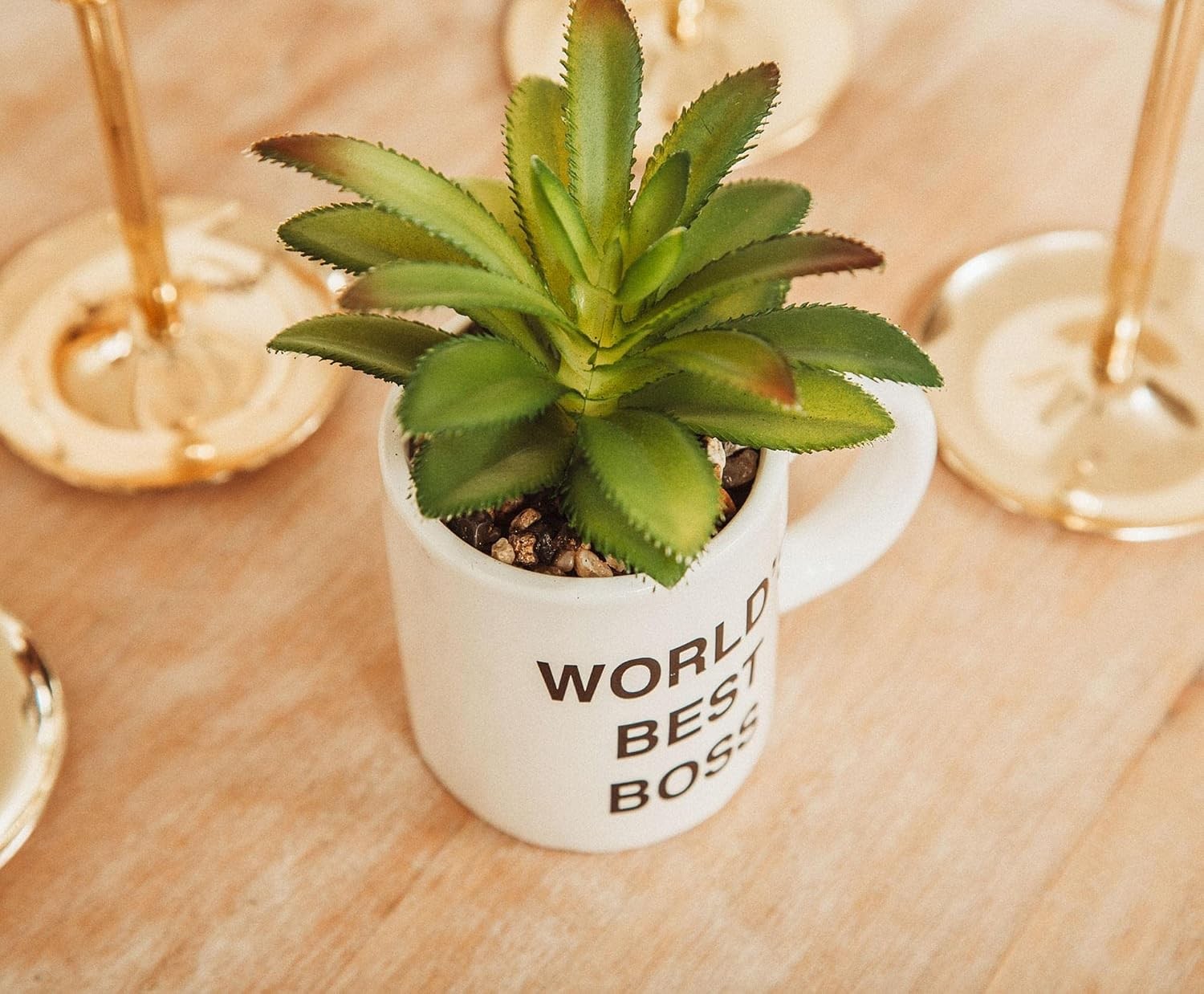 The Office Worlds Best Boss Decorative Artificial Faux Greenery Plant in Ceramic