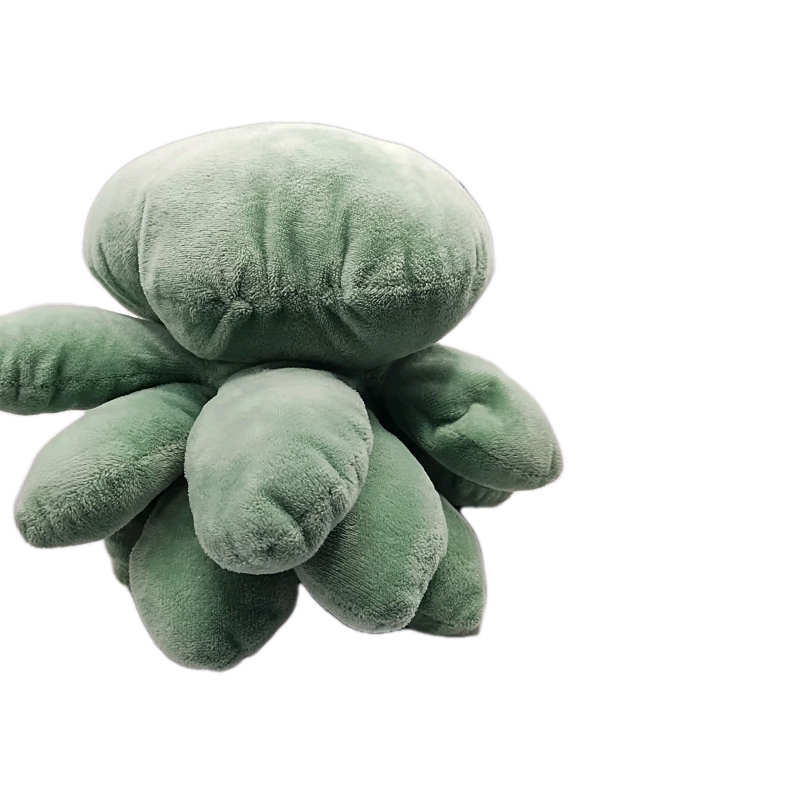 Plush Succulent Plant Med Size