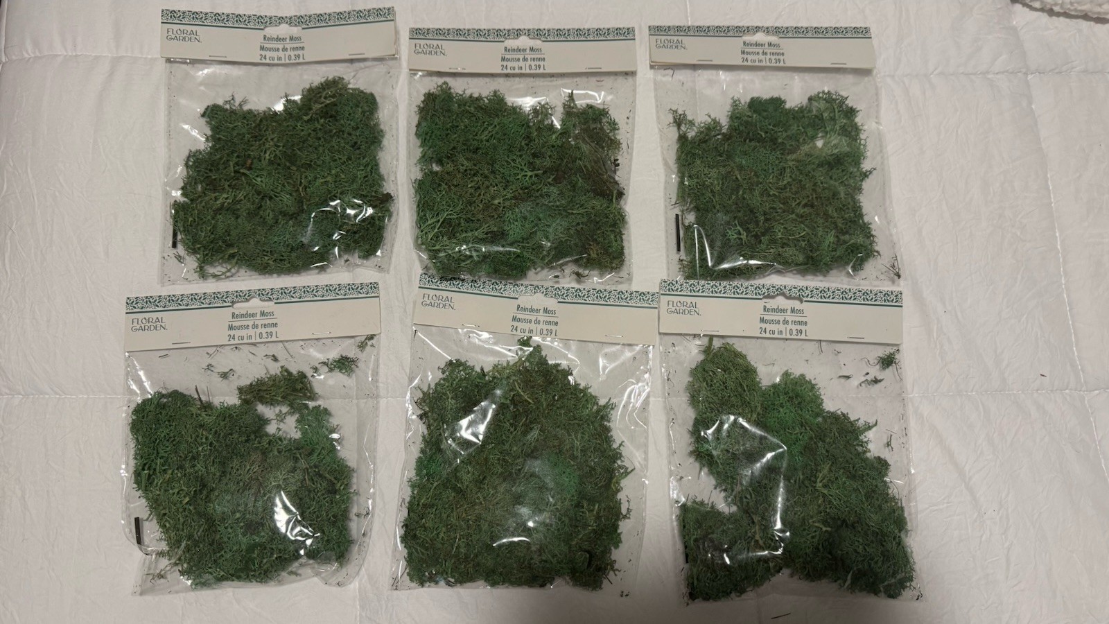 Floral Garden Reindeer Moss, 24-cu-in. Set of 6