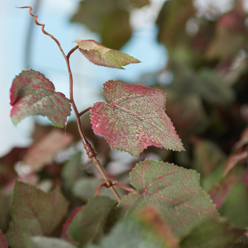 Set of 2 Green and Red Mixed Artificial Grape Leaf 32″ Floral Bushes
