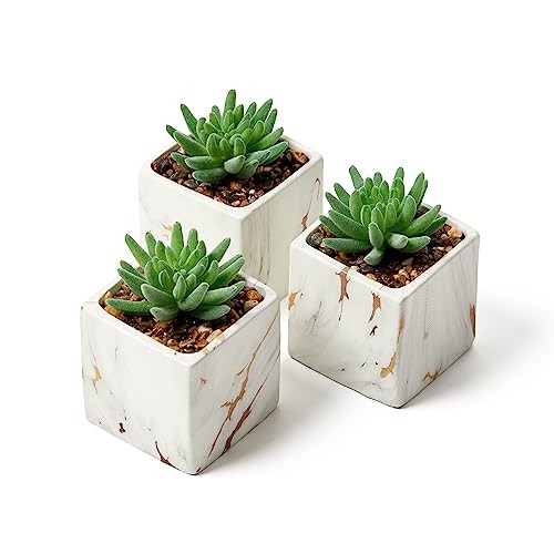 Nordik Square Marble Pots with Gold Vein Accents – Set of 3 Ceramic White Gold