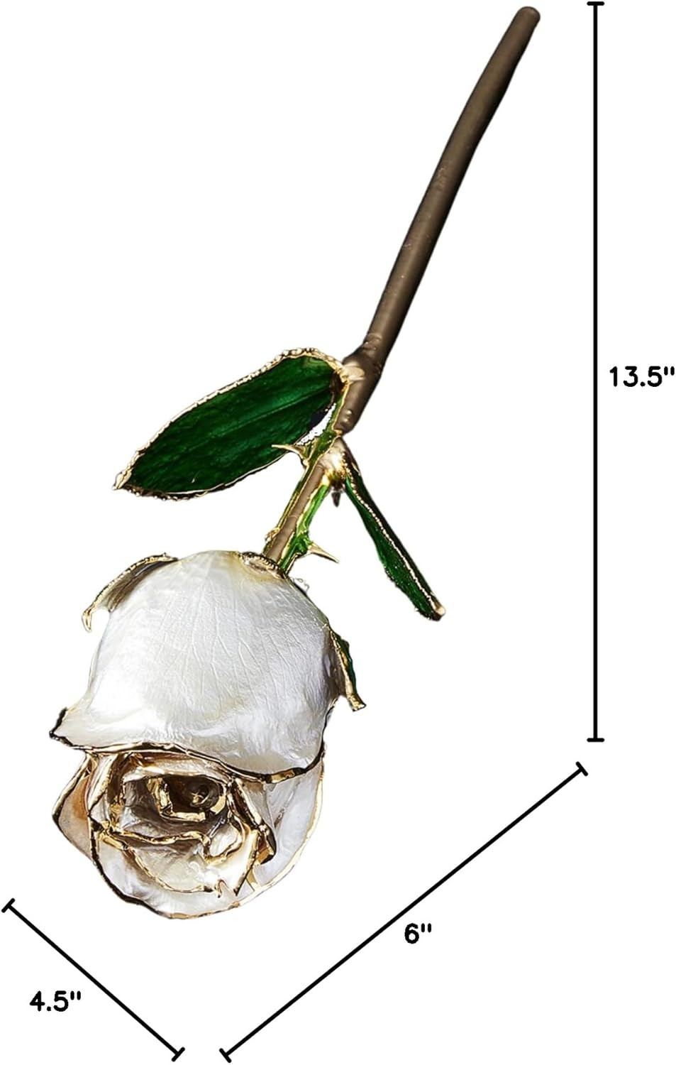 24K Gold Dipped Rose – Pearl Collection Gift for Her (Angel Dust)
