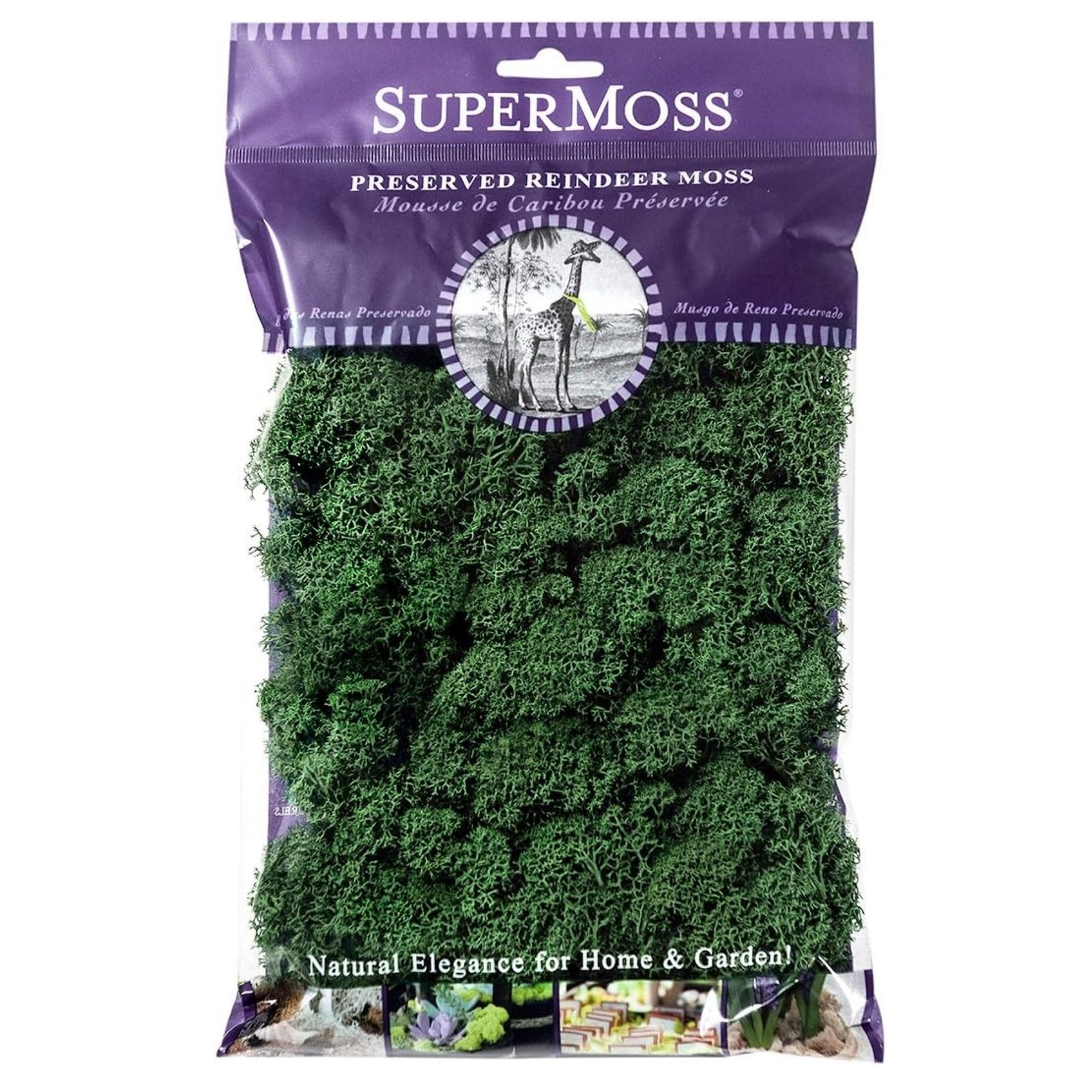 SuperMoss Preserved Reindeer Decorative Moss, Forest Green, 2 oz