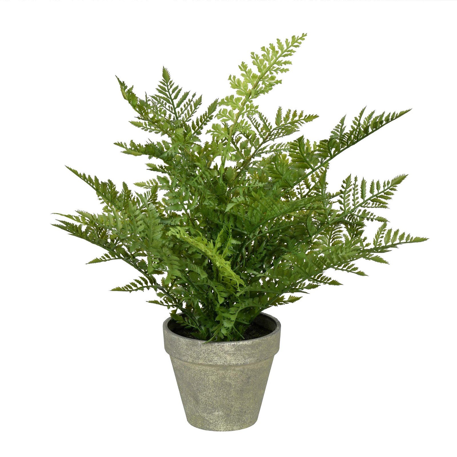 Vickerman 19″ Contemporary Plastic Artificial Potted Fern in Green