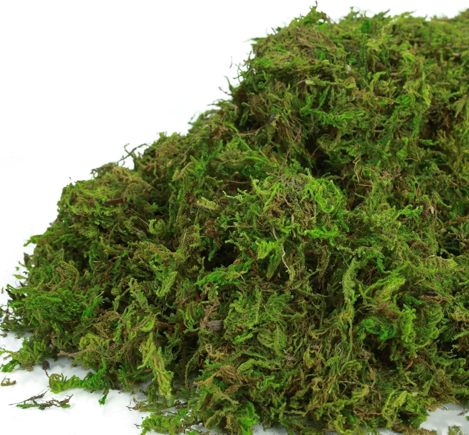 Fake Moss for Plants Indoor, 16OZ Green Moss for Crafts, Artificial Moss for Fau