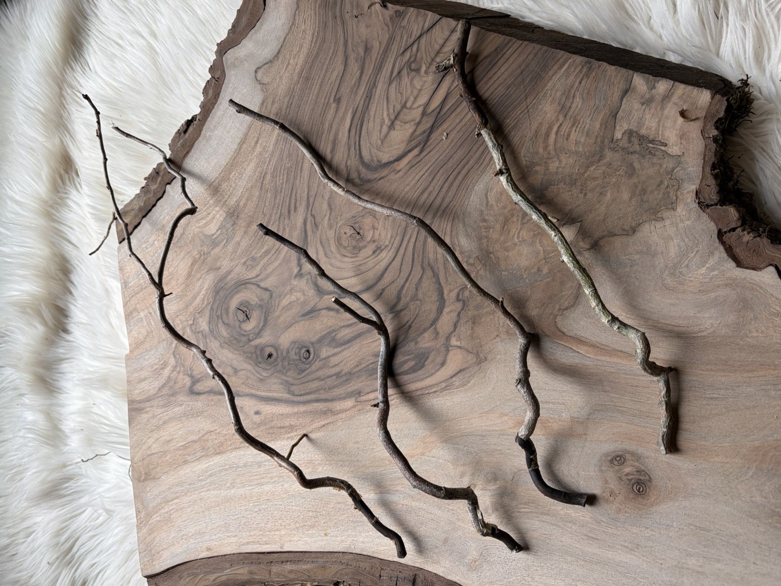 Dried Corkscrew Willow Branches for Home Decor