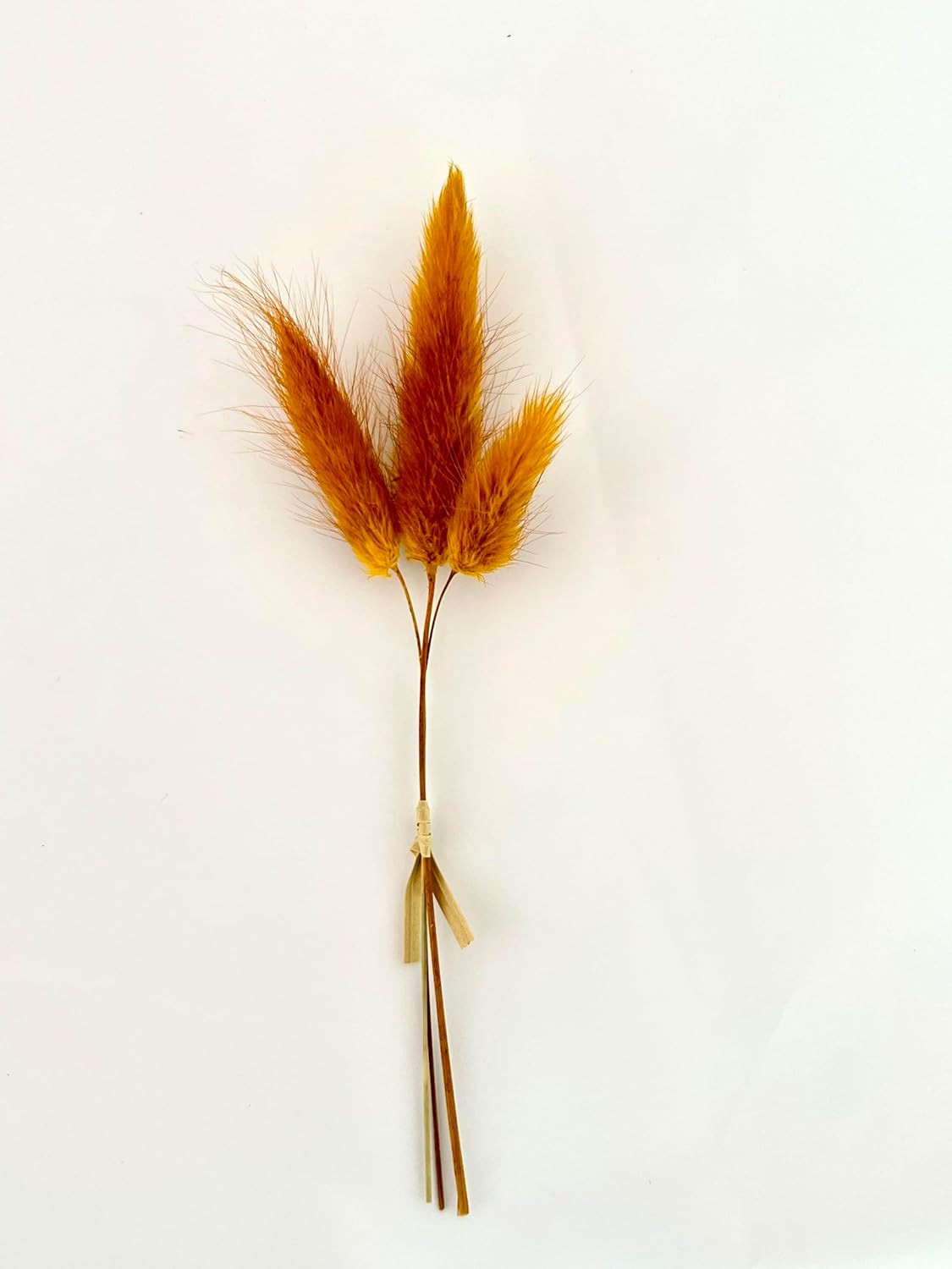 10Pcs Mini Dried Flowers Bouquet, Mixed Natural Dried Flowers Gypsophila Bouquet