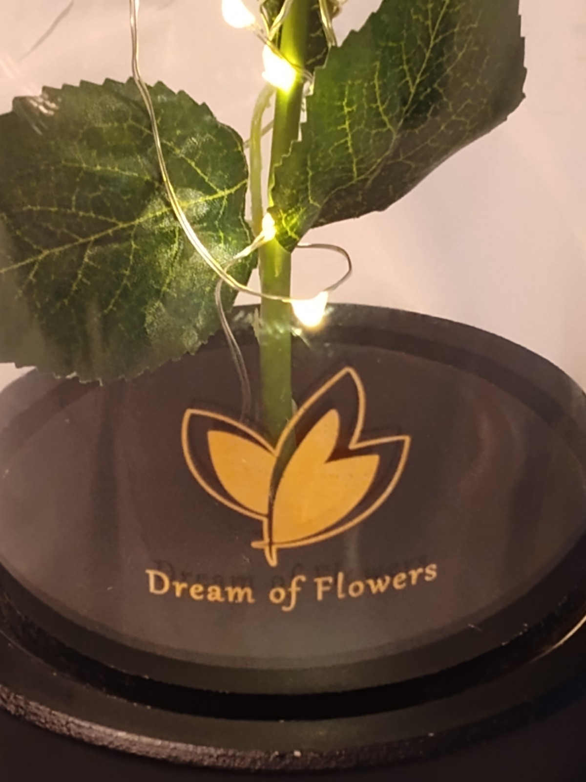Dream Of Flowers Beauty and The Beast Rose Red Lasts Forever Wood Base lighted