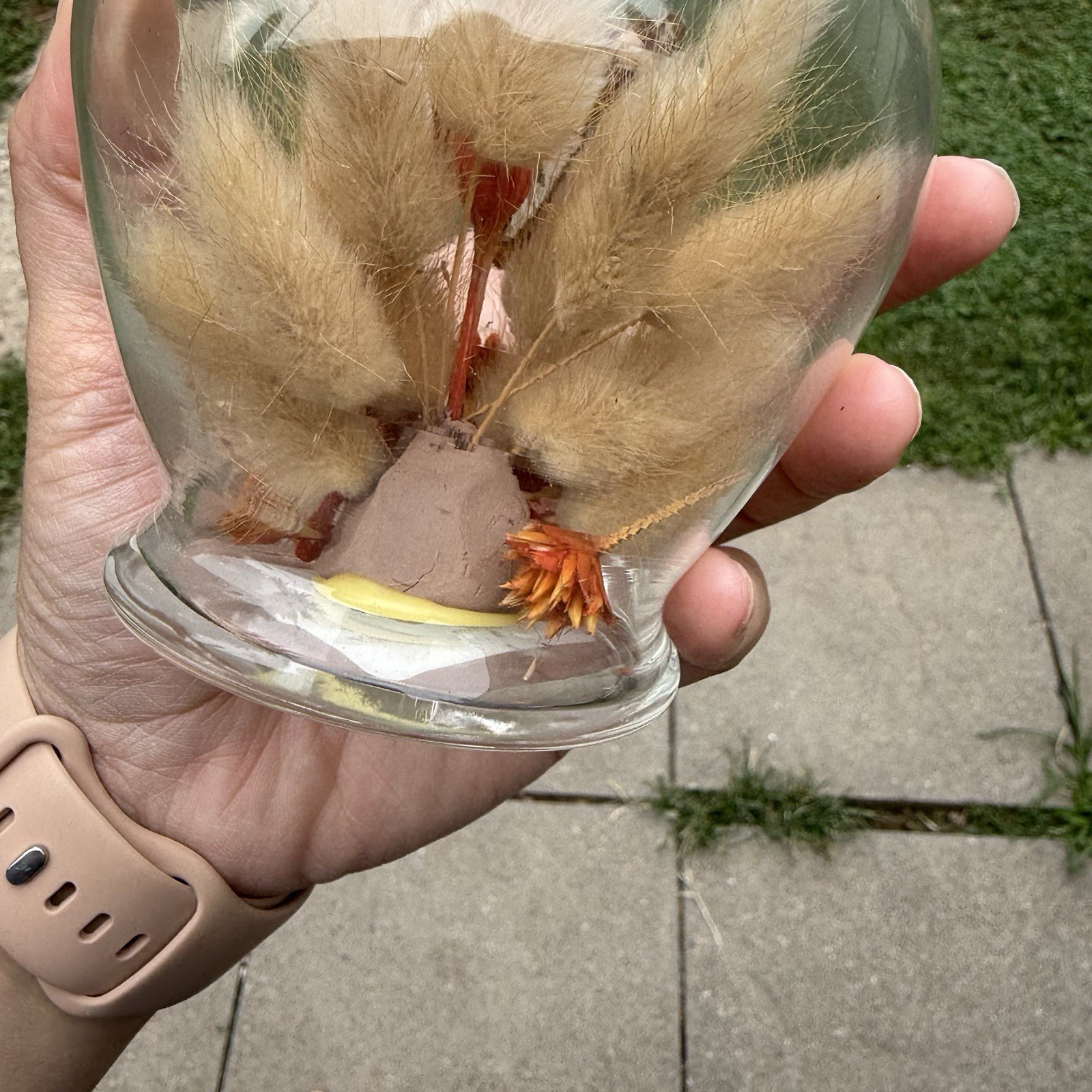 Vintage Glass Dome Apothecary Butterfly Terrarium Boho MCM Cottagecore 7” Floral