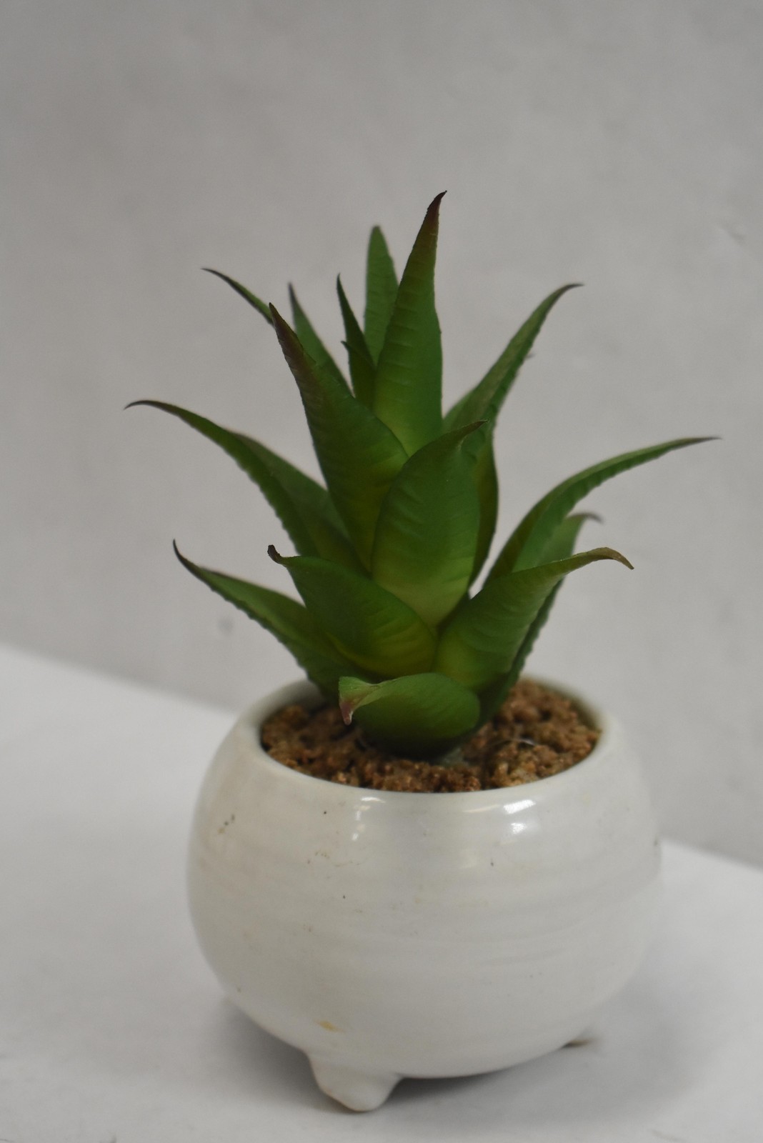 Set Of 3 Artificial Succulent Plants 8in Green Potted Ceramic Wood Centerpiece