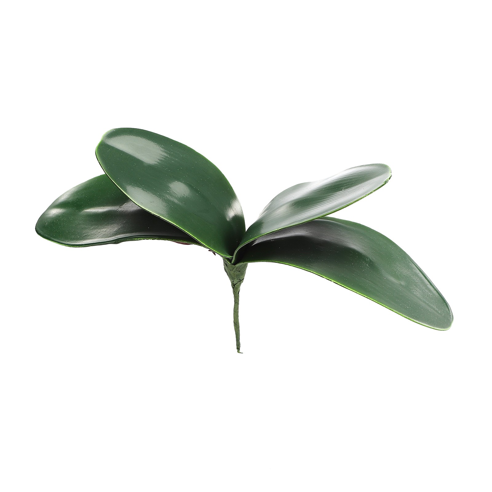 Eva Large 4 Pieces Of Phalaenopsis Leaves Orchid Leaves Wedding Home Decorati US