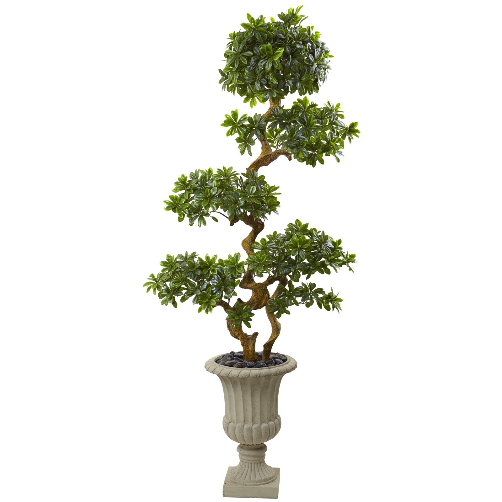 6′ Artificial Pittosporum Tree in Decor Urn UV (Indoor/Outdoor). Retail $499