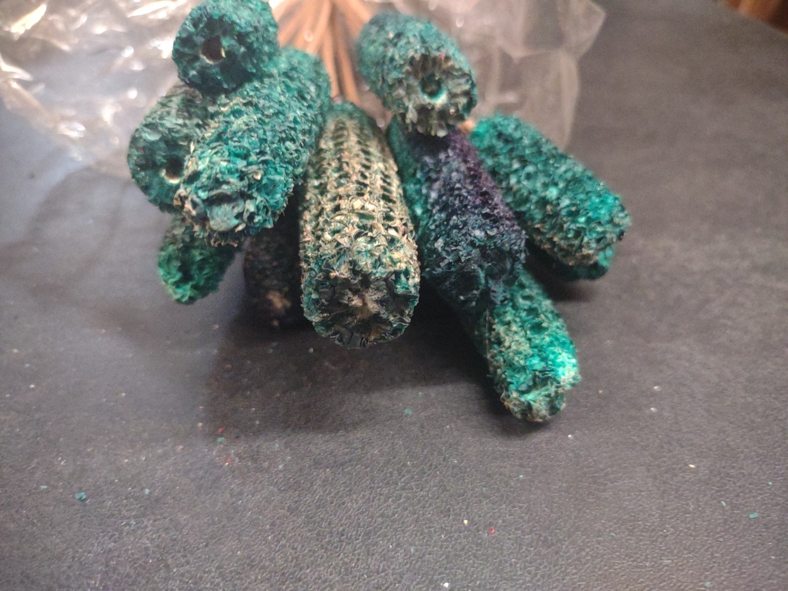 12 Stems of Corncobs, Real Dried Corn Cob “Pods” Teal Blue-Green Turquoise 20″