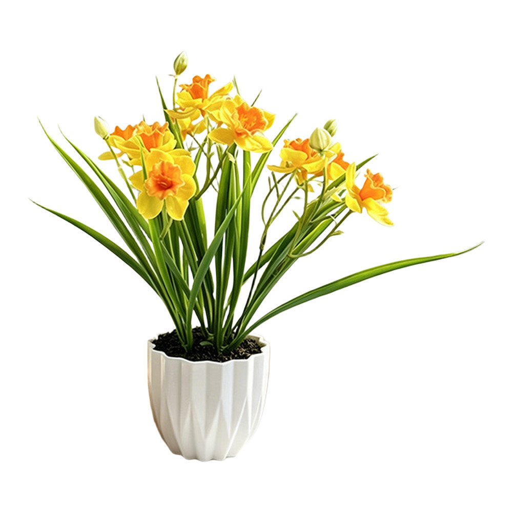 26.5 x 9.5cm Narcissus Flower Arrangement in Pot for Indoor Floral Styling